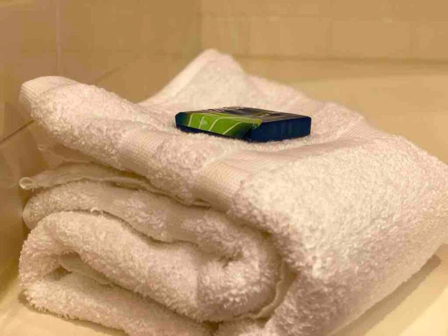 Luxury In Golfer's Paradise Apartment St. Augustine